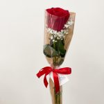 Rosas Solitária