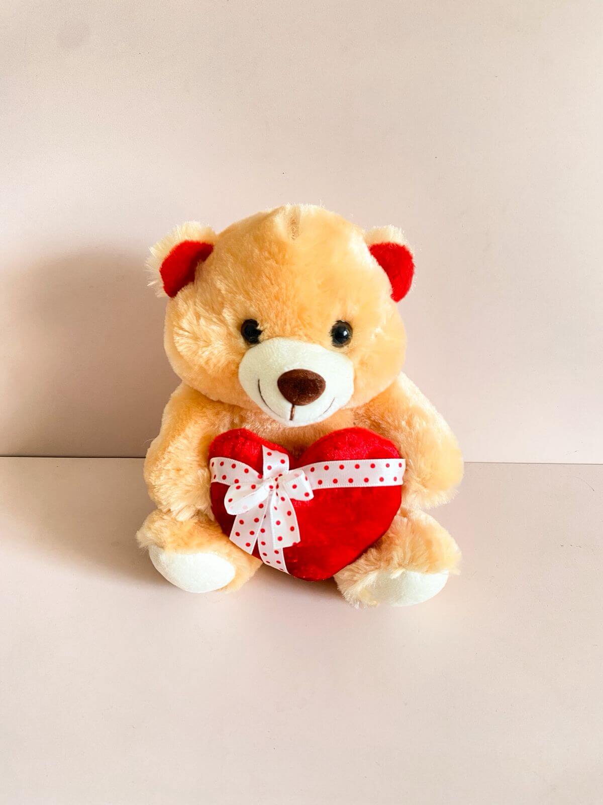 fhfyhg Urso Pelúcia - 20cm - Imagem 1