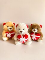 Urso Pelúcia - 20cm - Imagem 2