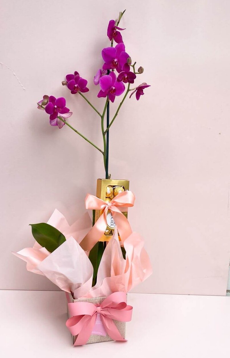 weert Orquídea Phalaenopsis com Bombons Ferrero Rocher - Imagem 1