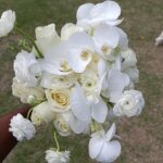 Buquê de Noiva Desconstruído com Orquídeas